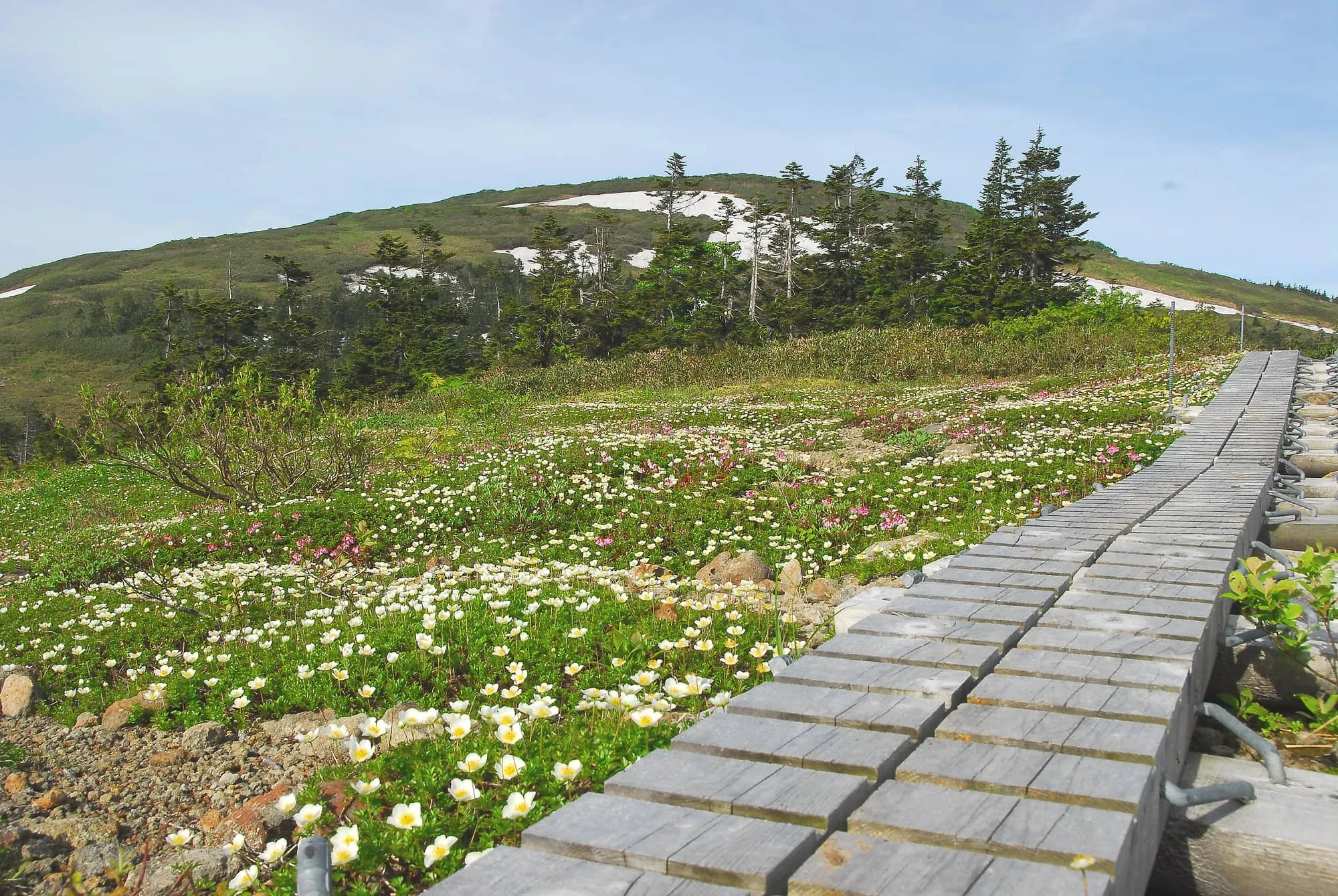 森吉山
