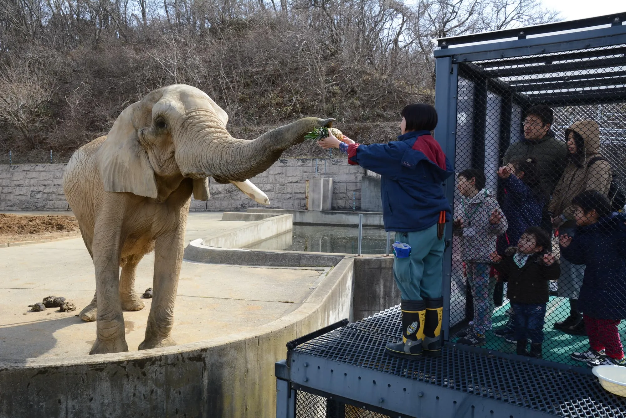大森山動物園