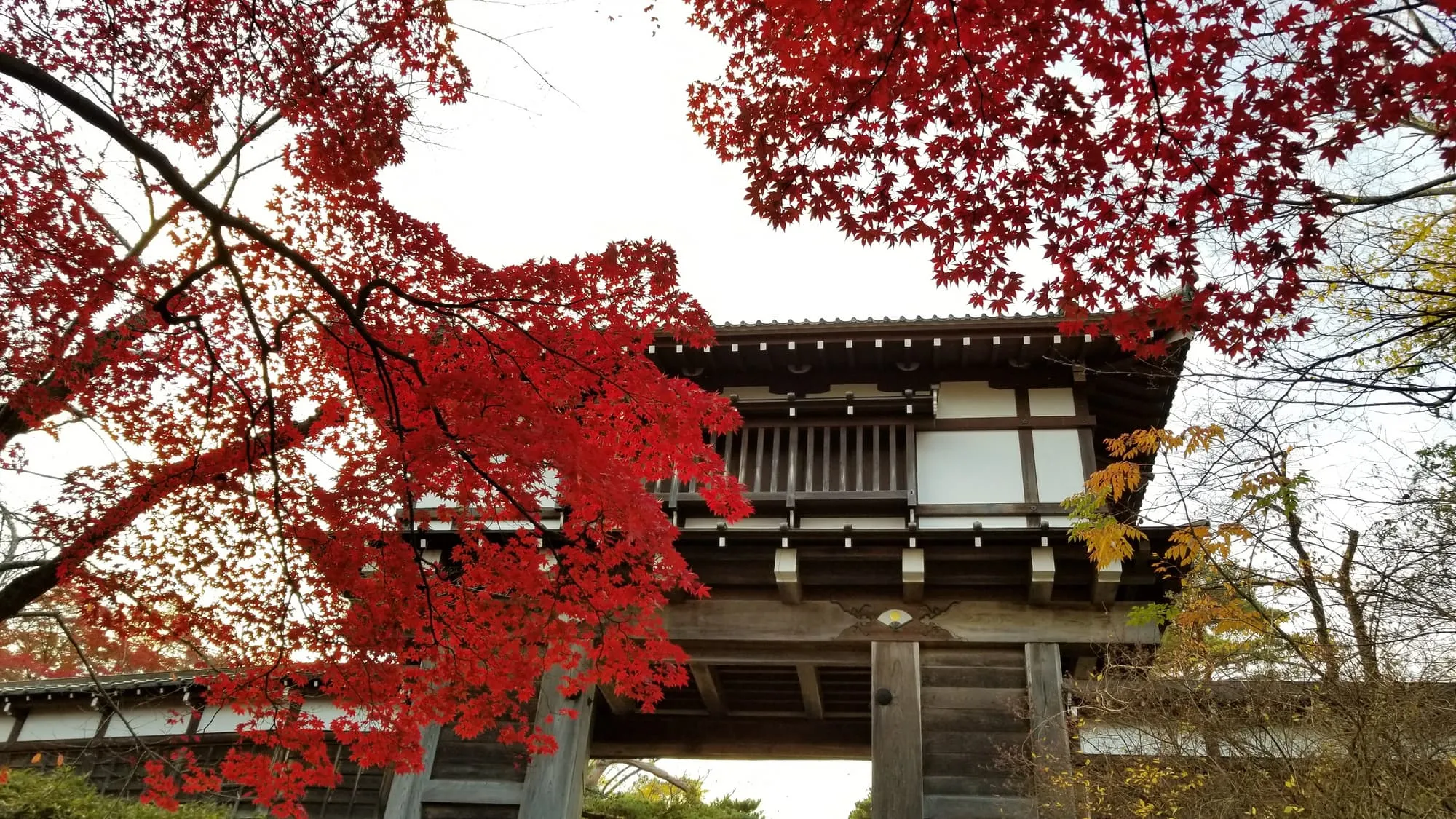 千秋公園（秋）