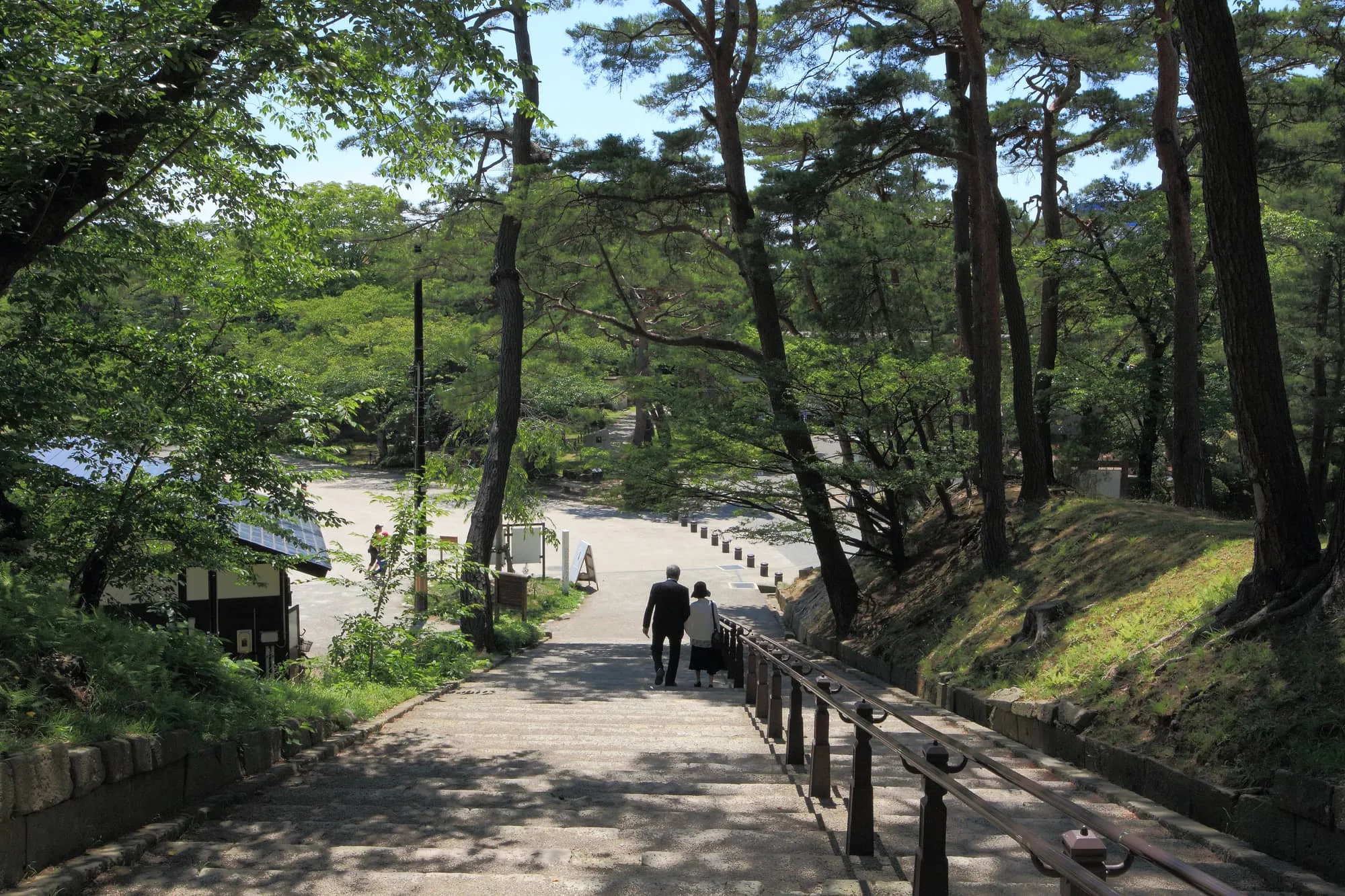 千秋公園（夏）